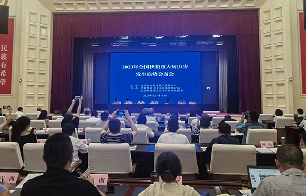 喜报！经现场公开测试，芭乐视频APP下载IOS下载网站智能虫情测报灯图像识别准确率达97.2%！