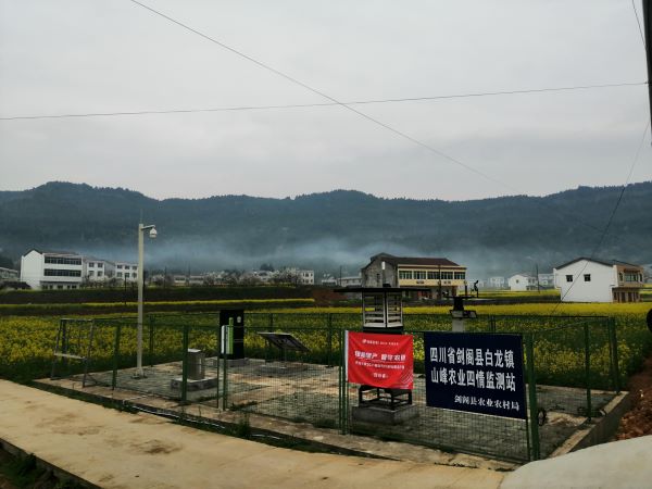 芭乐视频APP下载IOS下载网站病虫害监测点