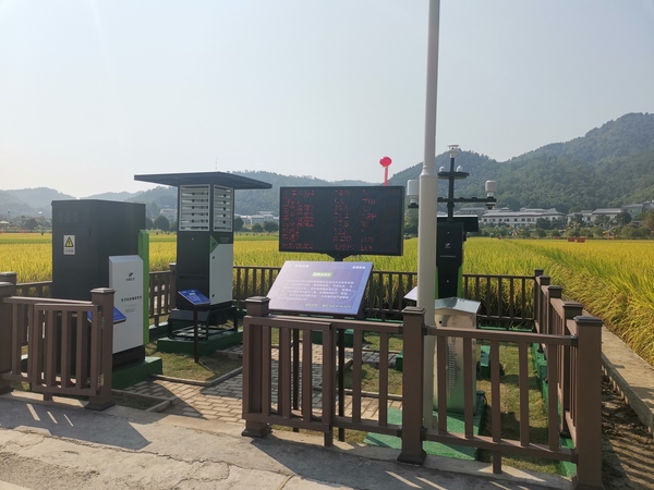 与会专家领导参观芭乐视频APP下载IOS下载网站支撑构建的智慧种业服务平台