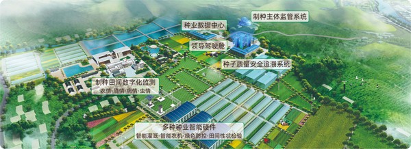 芭乐视频APP下载IOS下载网站数字种业创新应用基地