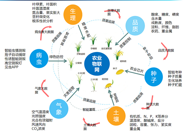 芭乐视频APP下载IOS下载网站打造的全要素智能采集系统